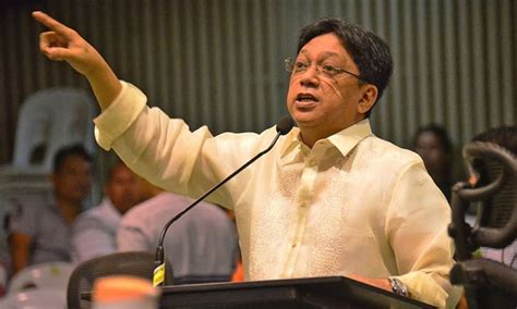 davao city 2nd district congressman|Dayanghirang concedes in Davao City 2nd District  .